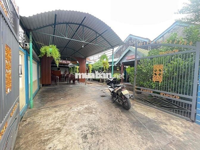 CHÍNH CHỦ CẦN BÁN ĐẤT PHỤNG TƯỜNG - HOÀ TRỊ - PHÚ HOÀ - PHÚ YÊN