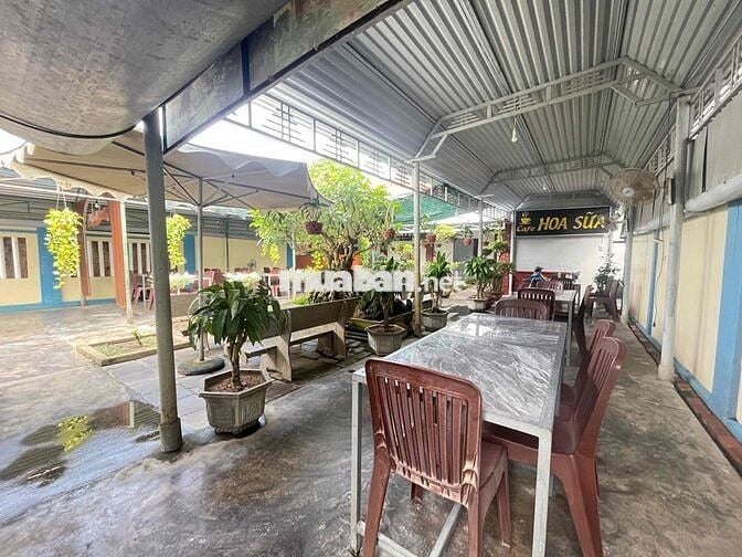 CHÍNH CHỦ CẦN BÁN ĐẤT PHỤNG TƯỜNG - HOÀ TRỊ - PHÚ HOÀ - PHÚ YÊN