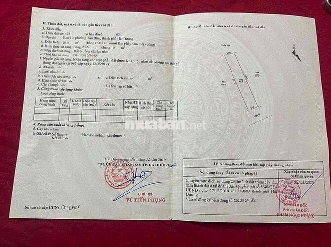 🛫 Ngõ to, đất rộng mà giá hợp lý chốt thôi các bác🤝🤝🤝!!! 📍 Vị trí địa