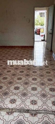 Phòng cho thuê sạch sẻ, thoáng mát có bán công trồng rau hoặc ngồi cf