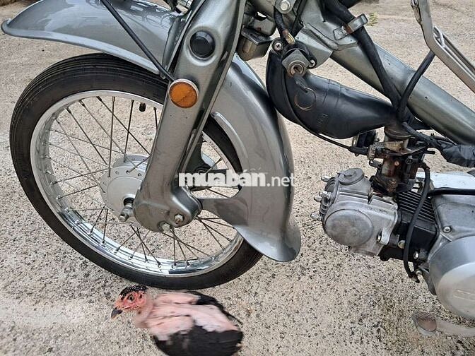 Cub 50c..Honda..72FA-0267