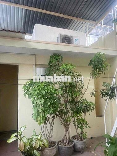 Cho Thuê Nhà Cổ Loa Phước Tân Nha Trang Trục Kinh Doanh