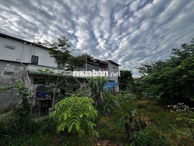 NHÀ HOÀN THIỆN KHU OASIS CITY - VỊ TRÍ ĐẸP - GIÁ NGỘP - CHÍNH CHỦ BÁN
