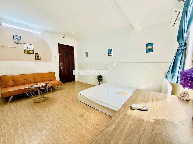 PHÒNG NHẬN THÚ CƯNG - ĐẠI HỌC VĂN HIẾN - VÒNG XOAY LÊ ĐẠI HÀNH