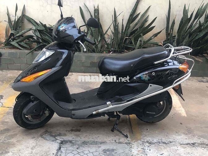 Honda @ còng chim bstp