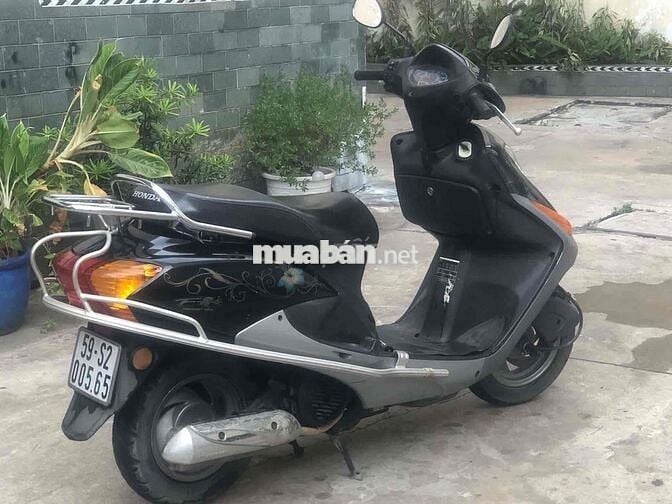 Honda @ còng chim bstp