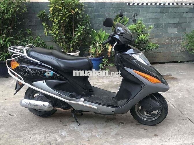 Honda @ còng chim bstp
