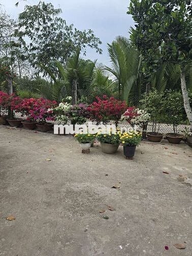 Bán đất mặt tiền tặng nhà nghỉ dưỡng