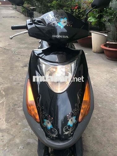Honda @ còng chim bstp