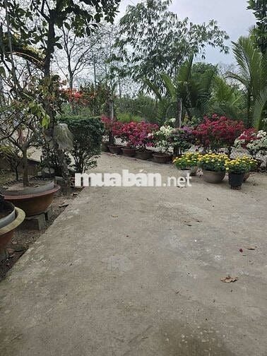 Bán đất mặt tiền tặng nhà nghỉ dưỡng