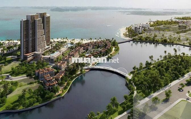 Mở bán quỹ căn đẹp Aria Bay Giá tốt, hỗ trợ Ngân Hàng căn từ 800 TRIỆU