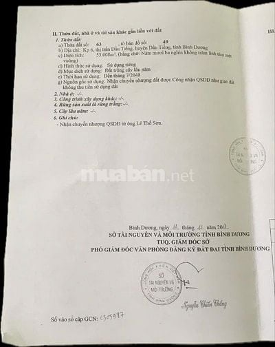 Đất cao su 6 tỷ/ mẫu, cần bán gấp 6 mẫu
