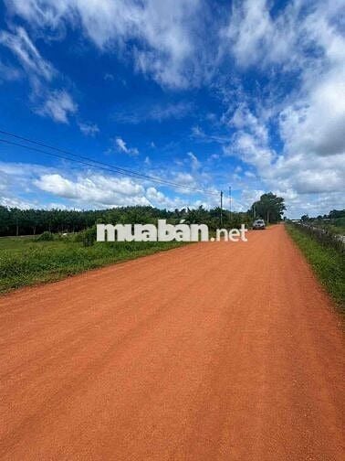 306m2 có thổ cư đường mặt tiền kênh Tân Hưng CHÍNH CHỦ BÁN GẤP