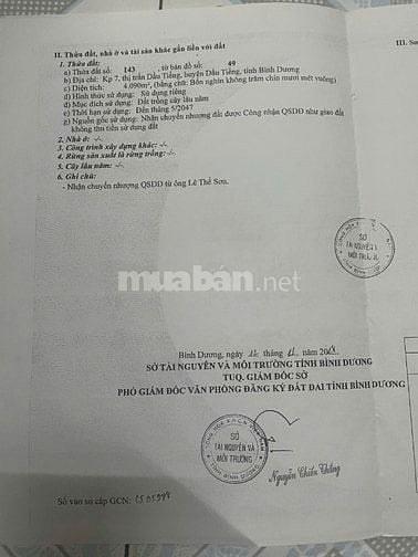 Đất cao su 6 tỷ/ mẫu, cần bán gấp 6 mẫu
