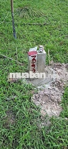 306m2 có thổ cư đường mặt tiền kênh Tân Hưng CHÍNH CHỦ BÁN GẤP