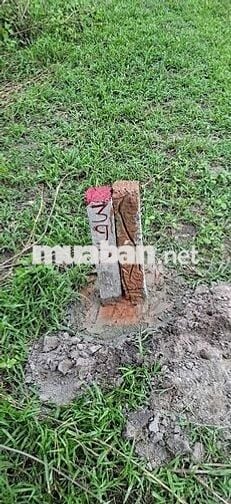 306m2 có thổ cư đường mặt tiền kênh Tân Hưng CHÍNH CHỦ BÁN GẤP