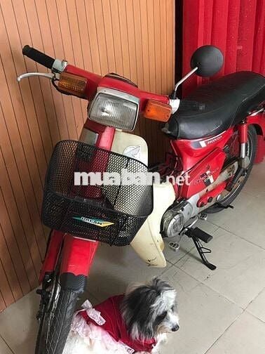 Honda Cub DD 70 Đỏ  Bstp