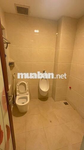 Chính chủ cho thuê liền kề 6 tầng,tháng máy tại: Nguyễn Chánh,Cầu Giấy
