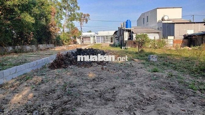 Bắn Đất Thổ Cư Cây Thông Trong đặc khu Phú Quốc