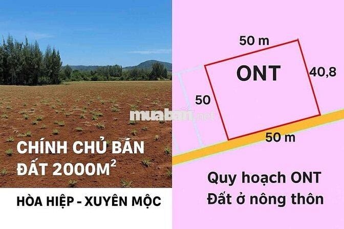 Chính Chủ Bán Đất 2000m2 Full Hồng Giá Chỉ 2 Tỉ 3.