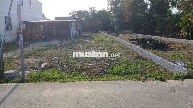 Bắn Đất Thổ Cư Cây Thông Trong đặc khu Phú Quốc