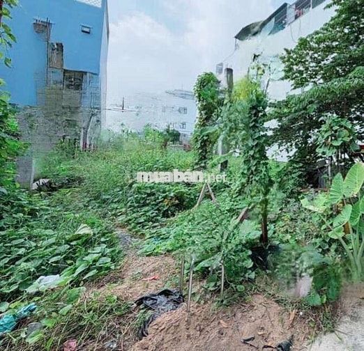 bán đất full thổ cư hiện hữu bè ngàng khủng 8 m đường xe hơi 