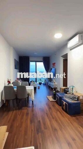 🎉Căn Hộ 2PN Full Nội Thất Chỉ 14,500k tại Akari City Bình Tân TPHCM🎊 -