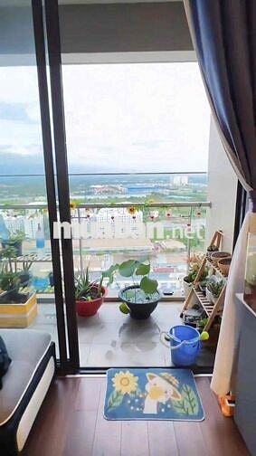 🎉Căn Hộ 2PN Full Nội Thất Chỉ 14,500k tại Akari City Bình Tân TPHCM🎊 -