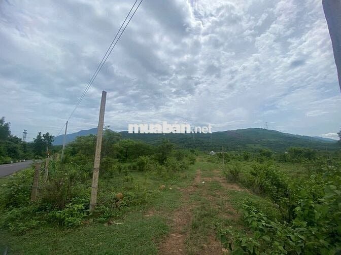 CHÍNH CHỦ CẦN BÁN LÔ ĐẤT MẶT TIỀN TỈNH LỘ 8 – DIÊN LÂM, KHÁNH HÒA