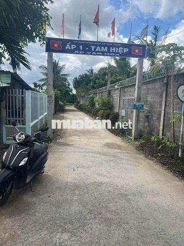 Chính chủ đất 5x30m Nhị Thành Thủ Thừa Long An