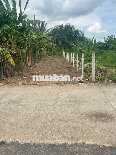 Chính chủ đất 5x30m Nhị Thành Thủ Thừa Long An
