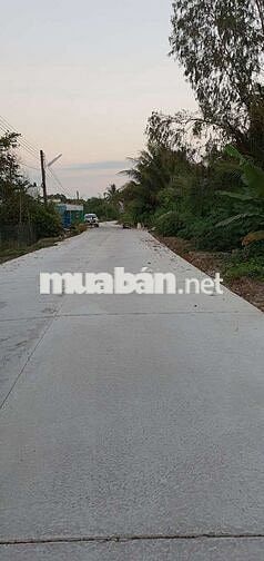 BÁN GẤP 2.685m² ĐẤT TRỒNG CÂY LÂU NĂM – Phan Văn Hớn – Giá 5.3 tỷ