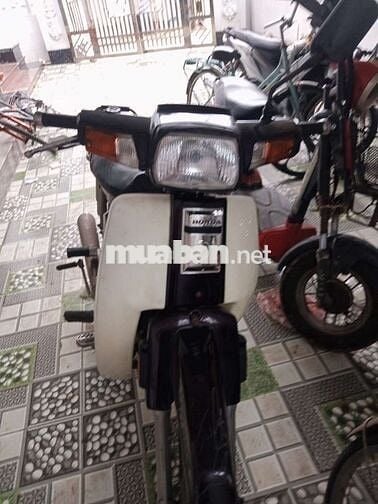 Honda Dream 2023 Trắng Khỏe, khô Đèn đề ổn áp