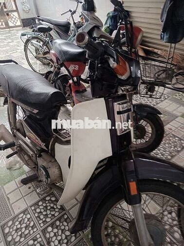 Honda Dream 2023 Trắng Khỏe, khô Đèn đề ổn áp