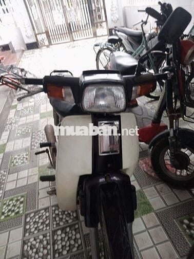 Honda Dream 2023 Trắng Khỏe, khô Đèn đề ổn áp