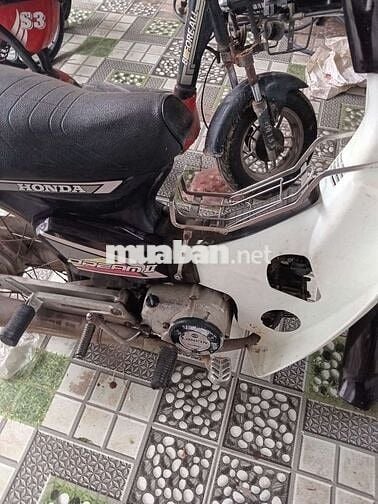 Honda Dream 2023 Trắng Khỏe, khô Đèn đề ổn áp