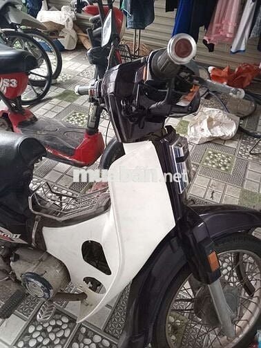 Honda Dream 2023 Trắng Khỏe, khô Đèn đề ổn áp