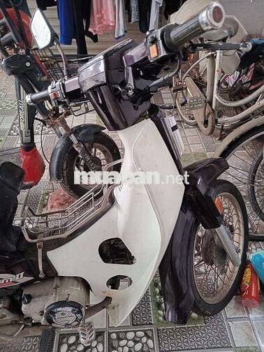 Honda Dream 2023 Trắng Khỏe, khô Đèn đề ổn áp