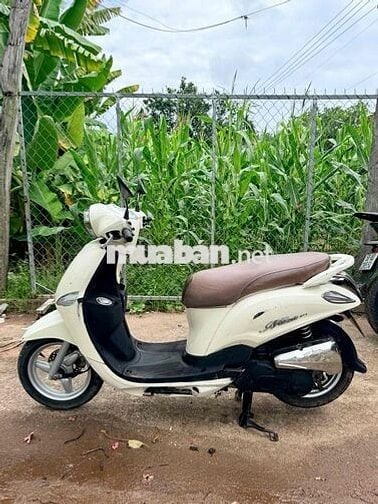 Yamaha Nozza Fi 2012 Trắng