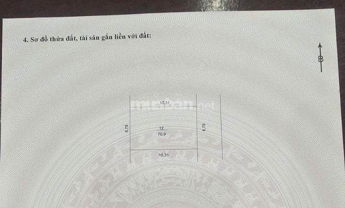 Bán Gấp Đất phân lô đường khuyến lương – lĩnh nam – hoàng mai