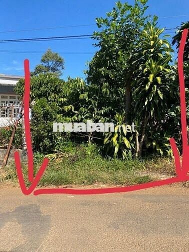 Đất chính chủ. Mặt tiền nhựa liên Thôn, Lộc An, gần Trung tâm. 555m2