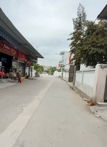 BÁN ĐẤT TẶNG NHÀ CẤP 4 GIÁ CỰC YÊU THƯƠNG TẠI XÍCH THỔ - HỒNG THÁI