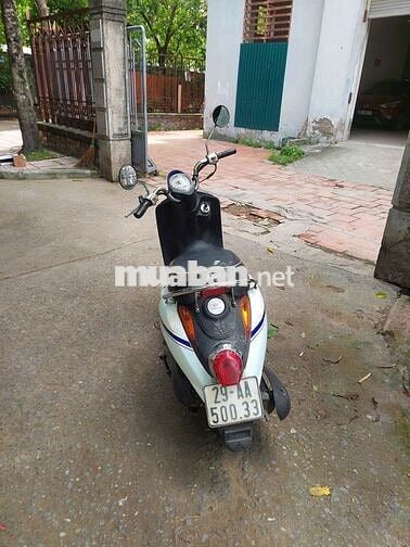 SYM Elit 50cc Trắng xanh Xe máy tay ga