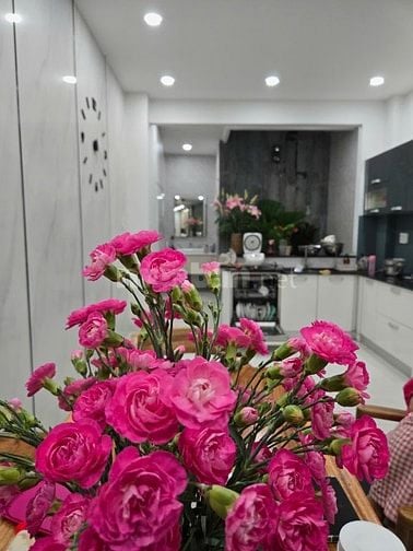 Tôi chính chủ bán nhà, nội thất Đức, khu vip an ninh, yên tĩnh