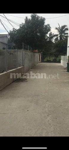 Cho thuê nhà nguyên căn 50m2 giá rẻ trệt,lửng 3tr