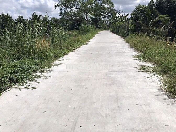Bán đất chính chủ – Sổ đỏ trao tay, gần chợ/trường học/tiện ích.