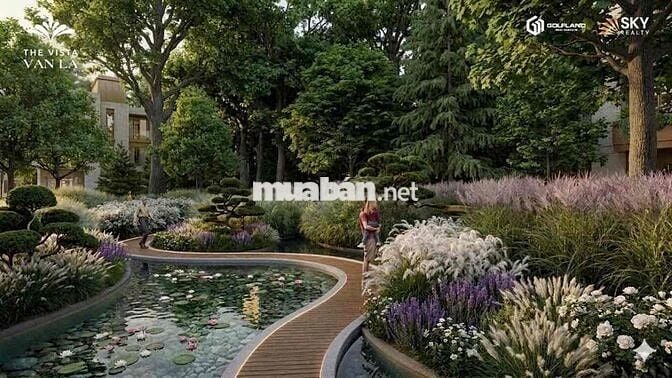 🌿 THE VISTA VĂN LA – CĂN HỘ CAO CẤP MẶT ĐƯỜNG QUANG TRUNG, HÀ ĐÔNG 🌿
