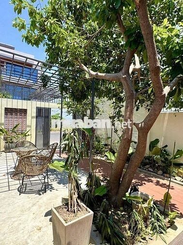 CHO THUÊ NHÀ CẤP 4 PHONG CÁCH SÂN VƯỜN KĐT MỸ GIÁ GIÁ 16 TRIỆU