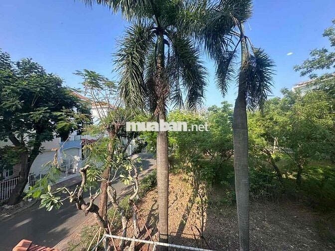 Biệt Thự 12x20 Khu Tân Quy Đông