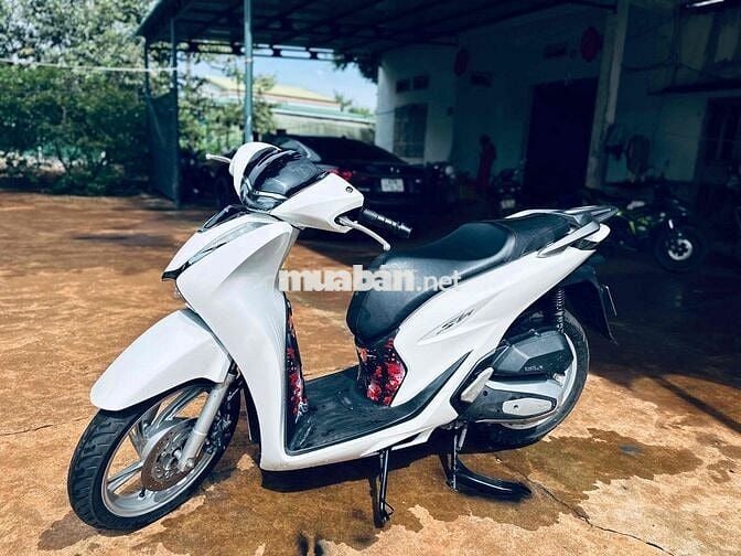 Honda SH Trắng Xe tay ga